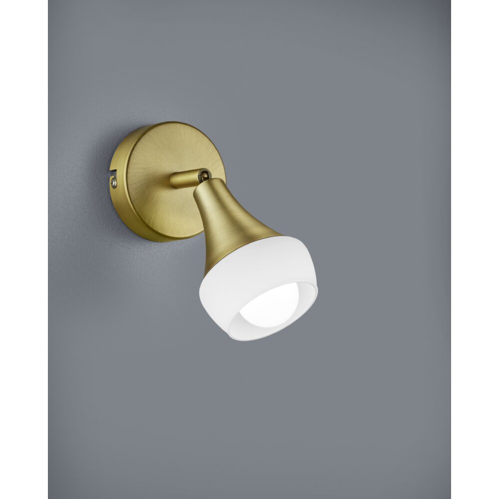 Fischer-Leuchten Shine Plafondlamp Messing, 1-licht main product photo