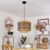 Tunga Hanger Zwart, 1-licht