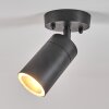Bessiebelle Buitenshuis plafond verlichting Zwart, Wit, 1-licht