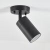 Bessiebelle Buitenshuis plafond verlichting Zwart, Wit, 1-licht