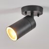 Bessiebelle Buitenshuis plafond verlichting Zwart, Wit, 1-licht
