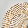 Callide Muurlamp Zwart, 1-licht