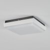 Gomero Buitenshuis plafond verlichting LED Antraciet, Wit, 1-licht