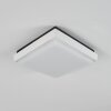 Gomero Buitenshuis plafond verlichting LED Antraciet, Wit, 1-licht