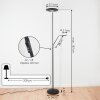 Confluencia Staande lamp LED Zwart, 2-lichts