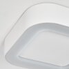 Paleroo Buitenshuis plafond verlichting LED Wit, 1-licht