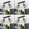 Chaiguao Plafondlamp Zwart, 2-lichts