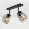 Chaiguao Plafondlamp Zwart, 2-lichts