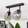Chaiguao Plafondlamp Zwart, 2-lichts