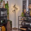 Omba Staande lamp Natuurlijke kleuren, Zwart, 3-lichts