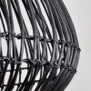 Mani Hanger Zwart, 1-licht