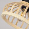 Totui Plafondlamp Zwart, 1-licht