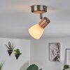 Icalma Plafondlamp Natuurlijke kleuren, Nikkel mat, 1-licht