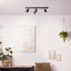 Brilliant Jello Plafondlamp LED Zwart, 3-lichts
