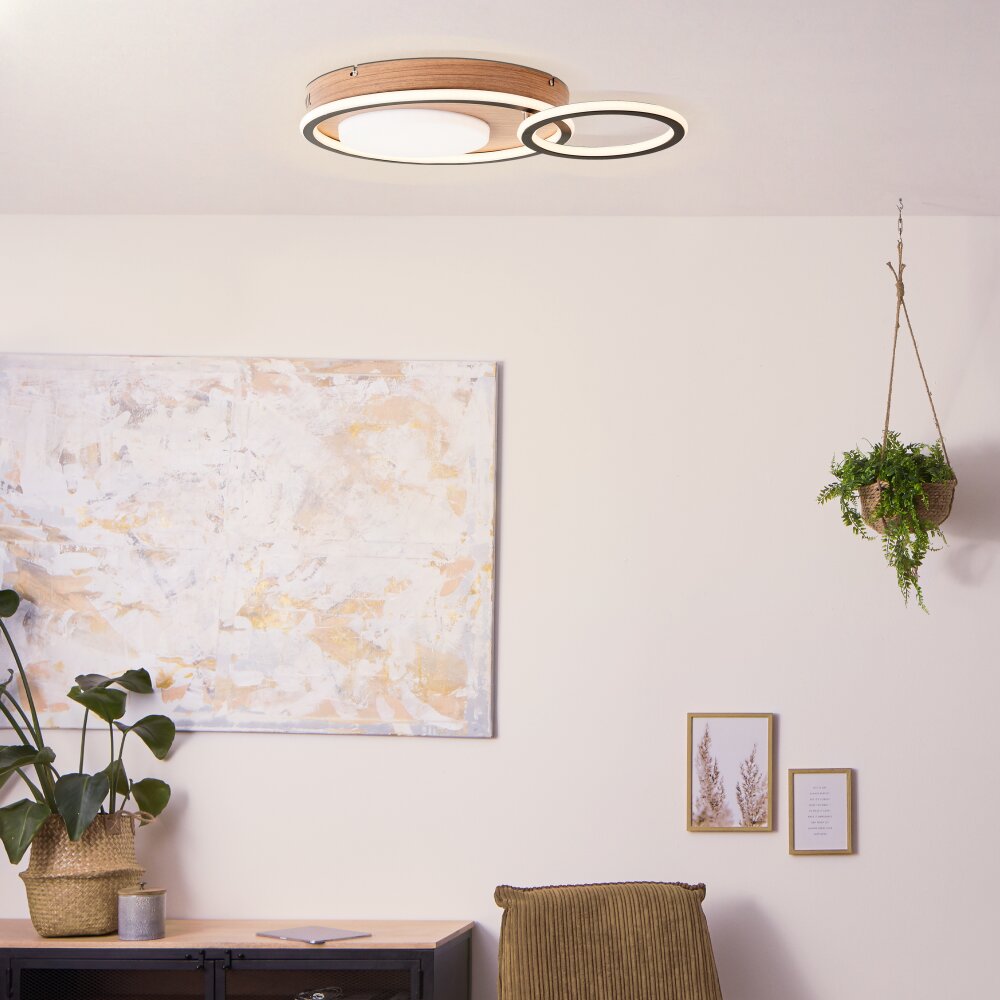 Brilliant Karney Plafondlamp LED Bruin, Zwart, 1-licht main product photo