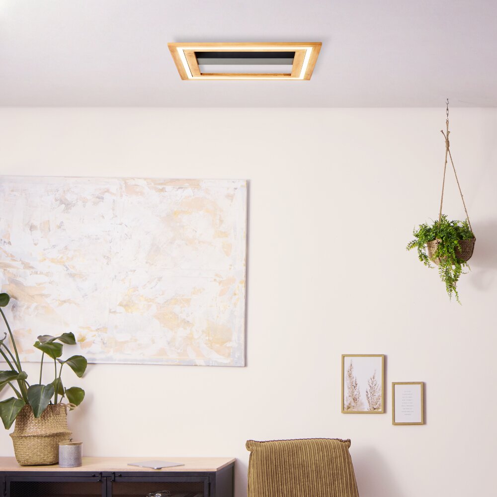 Brilliant Rhea Plafondlamp LED Bruin, Zwart, 1-licht main product photo