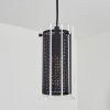 Rasperden Hanger Zwart, 1-licht