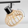 Totui Plafondlamp Zwart, 2-lichts
