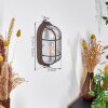 Chaquire Muurlamp Bruin, Roest, 1-licht