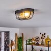 Quintay Plafondlamp Zwart, 1-licht