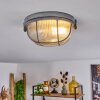 Chaquire Plafondlamp Grijs, 1-licht