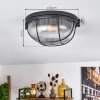 Quintay Plafondlamp Zwart, 1-licht