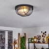 Quintay Plafondlamp Zwart, 1-licht