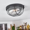 Quintay Plafondlamp Zwart, 1-licht