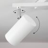 Javel Plafondlamp Chroom, Wit, 5-lichts