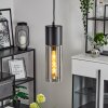 Dulcita Hanger Zwart, 1-licht