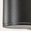 Caragua Buiten muurverlichting Antraciet, 1-licht