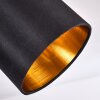 Alsen Plafondlamp Zwart-Goud, 2-lichts