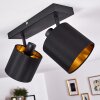 Alsen Plafondlamp Zwart-Goud, 2-lichts