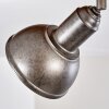 Tholen Plafondlamp Bruin, 2-lichts