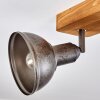 Tholen Plafondlamp Bruin, 2-lichts