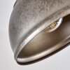 Tholen Plafondlamp Bruin, 1-licht