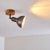 Tholen Plafondlamp Bruin, 1-licht
