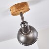 Tholen Plafondlamp Bruin, 1-licht
