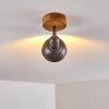 Tholen Plafondlamp Bruin, 1-licht