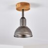 Tholen Plafondlamp Bruin, 1-licht
