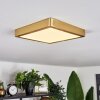 Finsrud Plafondpaneel LED Goud, 1-licht