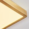 Finsrud Plafondpaneel LED Goud, 1-licht
