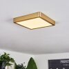 Finsrud Plafondpaneel LED Goud, 1-licht