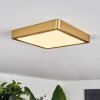 Finsrud Plafondpaneel LED Goud, 1-licht