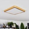 Finsrud Plafondpaneel LED Goud, 1-licht