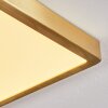 Finsrud Plafondpaneel LED Goud, 1-licht