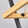 Espenel Plafondlamp, 2-lichts