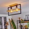 Espenel Plafondlamp, 2-lichts