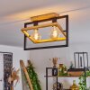Espenel Plafondlamp, 2-lichts