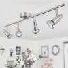 Lonquimay Plafondlamp Nikkel mat, 4-lichts